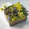 A modern and funky array of cut succulents, mini cymbidium orchids and