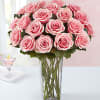 Traditionally a symbol of gratitude and appreciation, pink roses never fail to