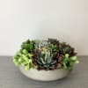 Long lasting succulent arrangement 