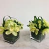 ONE beautiful arrangement with green cymbidium and mini green hydrangea perfect for