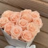  Ecuador Roses peachy and preserved that will last about 2 years.
