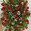 Red Rose with white Monte Casino Aster