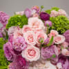 Rising from the clear tall vase like a tide of relaxation, the