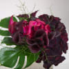 An apt moniker, Magic is composed of black and red calla lily
