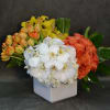 Tulips, Cymbidium Orchids, Roses, Phalaenopsis Orchids in a ceramic white vase.
 