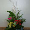 A mix of green plants and curly willow in a garden-style arrangement