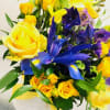 Bright and delightful floral design that looks like rays of yellow sunshine