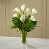 Elegant, dramatic, understated and sophisticated. This simple bouquet of white calla lilies
