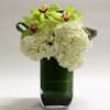 Green Cymbidium Orchids with white hydrangeas. 