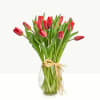 20 stems of tulips your choice of colors  