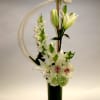 A gravity defying, modern arrangement with white cymbidium orchids, Casablanca lilies, snapdragons