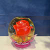 Roses preserved in a Globe