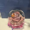 Roses preserved in a Globe