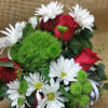 Cheerful arrangement of red roses, crisp white daisies, green trick and buttons
