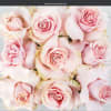 Pillowed roses, any color(considering availability) 12-18 roses