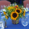 Large Sunflowers tuck in a garden vibe with pops of red 