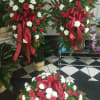 a collection of flowers created for the family all red, white carnation