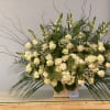 A extra special sympathy arrangement