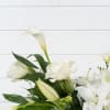 Effortless and carefree assortment of white flowers.  Unpretentious and understated....
