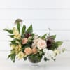 A beautiful assortment of oldies but goodies in a modern compote arrangement...
