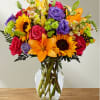 An instant mood booster with it&#039;s mix of bright bold colors, this