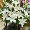white lilies 