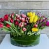 An enormous multi mix of tulip colors available in many colors to