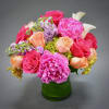 Allow our designers to create a gorgeous mixed garden arrangement using our