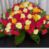 All carnations and roses casket spray (color of choice)