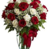Velvety roses of red and white shimmer with beauty and grace! Utterly