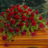 With dignity and grace, brilliant red carnations express the depth of your