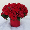 Exquisite Roses in a cylinder glass vase