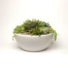 This is a smooth off-white bowl (10&quot; x 4.5&quot;), featuring a beautiful