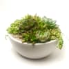 This is a smooth off-white bowl (10&quot; x 4.5&quot;), featuring a beautiful
