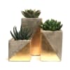 Includes set of 3 concrete vases with gold design and various succulents.