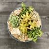 A beautiful balanced succulent arrangement in a light blue pot.