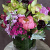 Mix with orchids