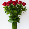 The XO Bloom approach to a dozen red roses. 