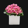 Elegance cymbidium orchids will truly spark fireworks in any room, accented by