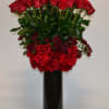 Gorgeous long stem Red Roses 