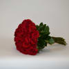 Long stems red roses, fastened together in a beautiful looking bouquet.