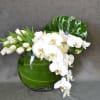White tulips and phalaenopsis orchids.