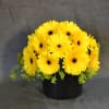 These Gerbera Daisies vase it&#039;s the perfect gift for any occasion. simple