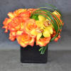 Roses and cymbidium orchids. any color, any day.
