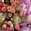A grandiose and opulent display of coral, purple, and pink blooms of