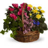 A sweet, bright flurry of colorful fresh plants celebrates vivid memories and