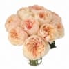 12 Garden Roses Juliet (Peach) in Vase - Must be Ordered 1