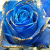 Impress with a Blue rose It&#039;s often portrayed in literature and art