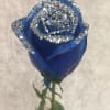 Impress with a Blue rose It&#039;s often portrayed in literature and art