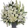 Like the sun on the horizon, this pure white bouquet of hydrangea